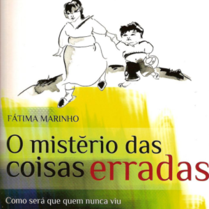 O mistério das coisas erradas